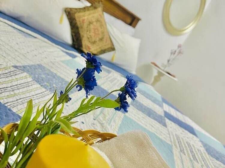 پانسیون Sea Breeze Guest House Negombo