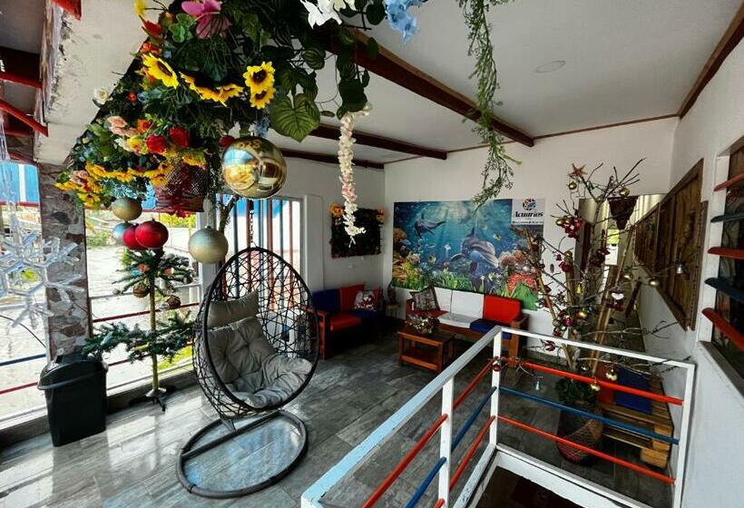 هاستل Acuarios Hostal