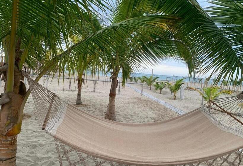 민박 Hospedaje & Casa Playa Aurora