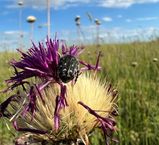 ベッドアンドブレックファースト Mediterranean Lake Escape House