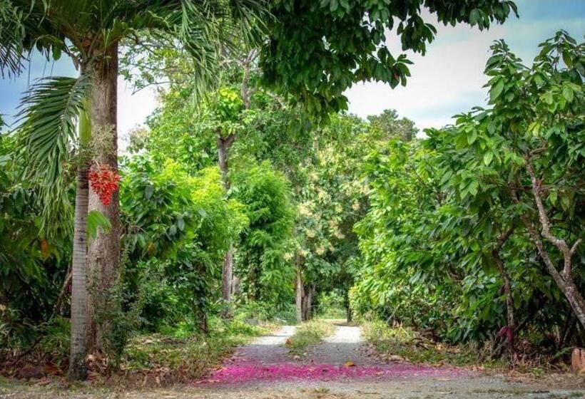 فندق Hacienda Cacaoymango