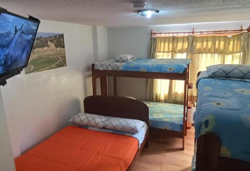 هتل Hostal Colibri 2