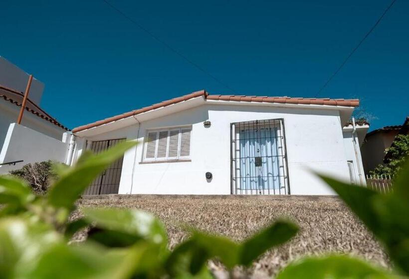 هاستل American Hoteles