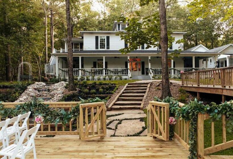 تختخواب و صبحانه The Bird & Butterfly Inn