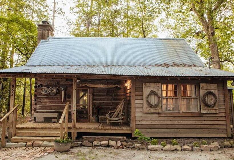 تختخواب و صبحانه The Bird & Butterfly Inn