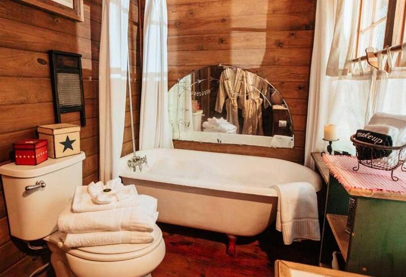 تختخواب و صبحانه The Bird & Butterfly Inn