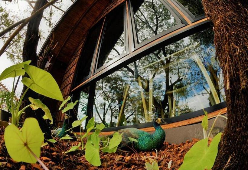 هتل Kenaray Farmstay Riverside