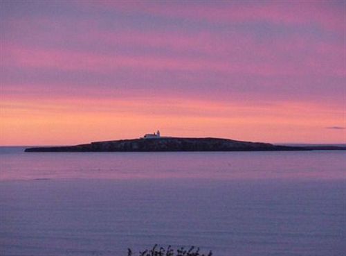 ベッドアンドブレックファースト Gun Rock