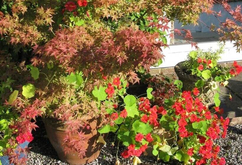 مبيت وإفطار Whiskey Mansion