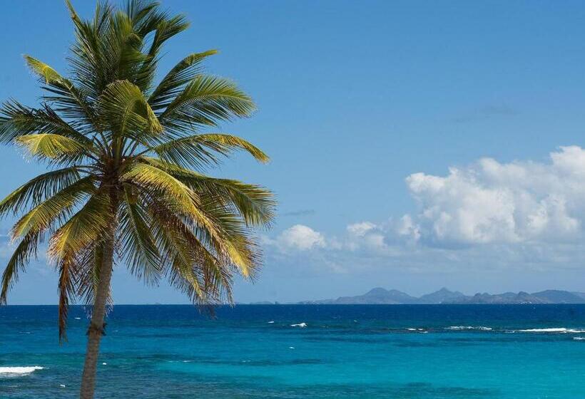 هتل Coral Beach Club Villas & Marina