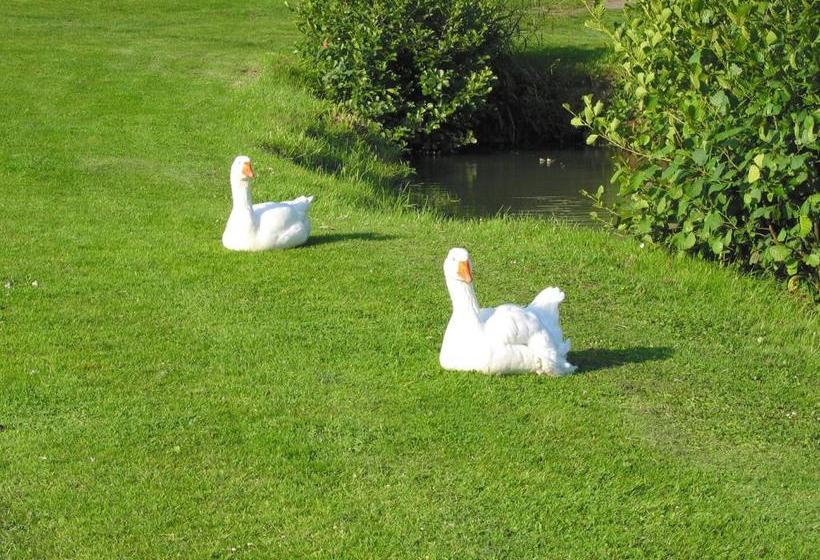 בית מלון כפרי Résidence Lagrange Vacances Les Hauts De Clairvallon