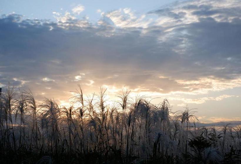 酒店 Noborioji  Nara