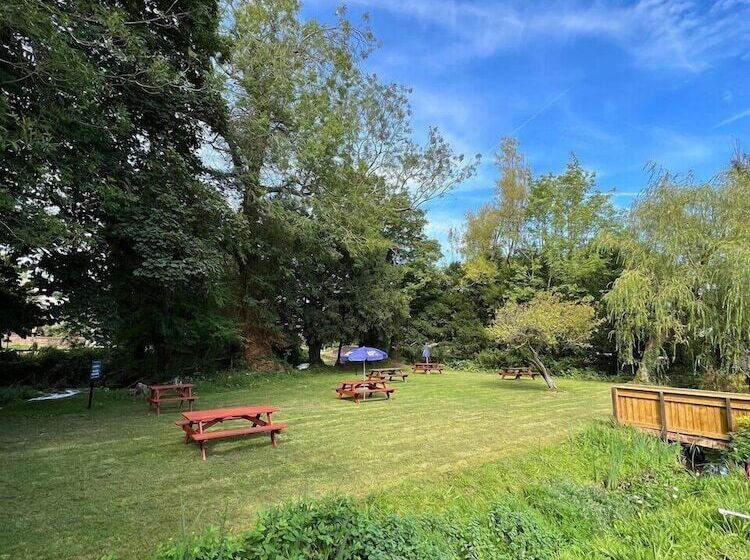 Fotos del hotel The George & Falcon:  4