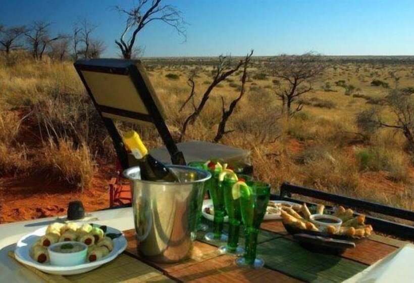 酒店 The Motse   Tswalu Kalahari Luxury Private Game Reserve