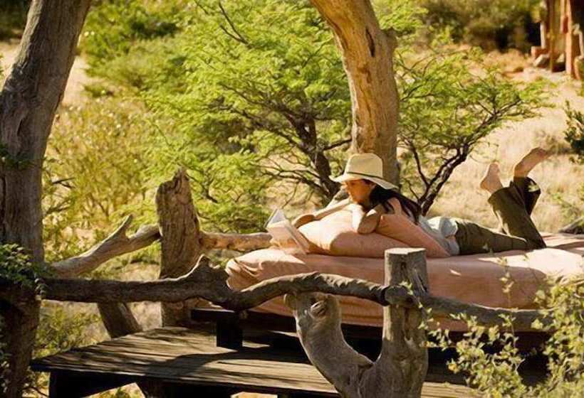 酒店 The Motse   Tswalu Kalahari Luxury Private Game Reserve