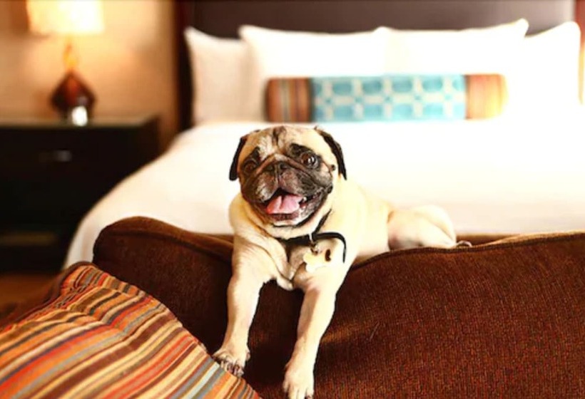 فندق Victorian Inn
