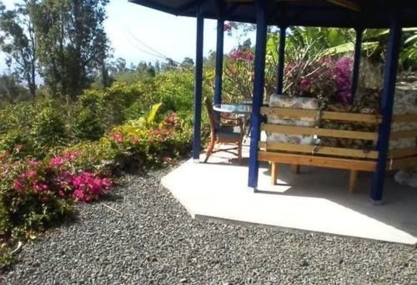 Mango Sunset Bed And Breakfast Inn At Lyman Kona Coffee Farm