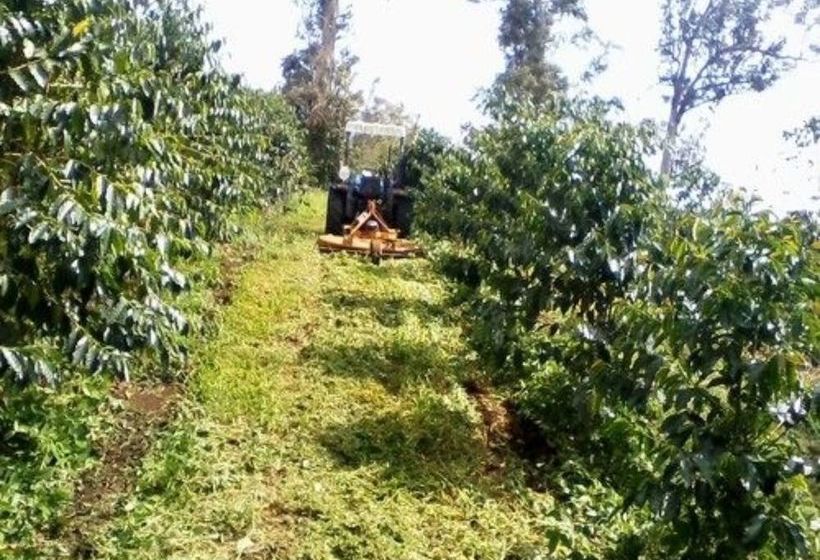 민박 Mango Sunset Bnb Inn At Lyman Organic Kona Coffee Farms