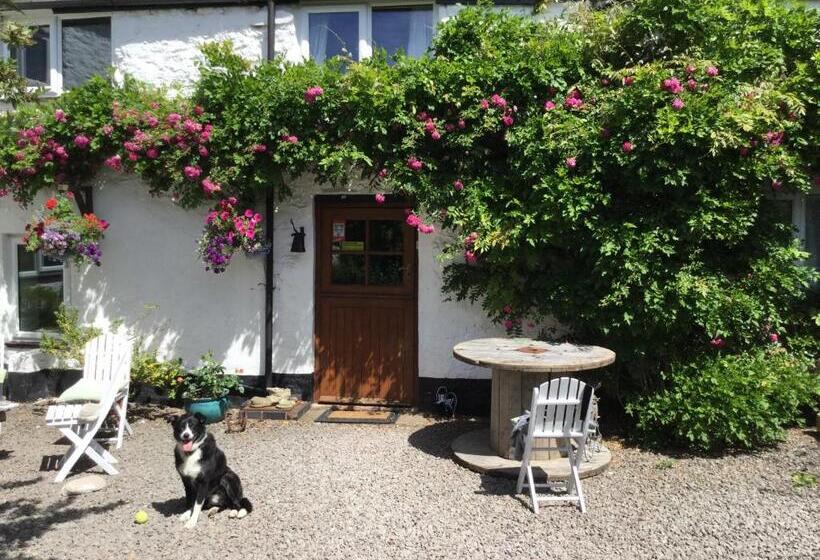 膳宿费 Steps Farmhouse B&b