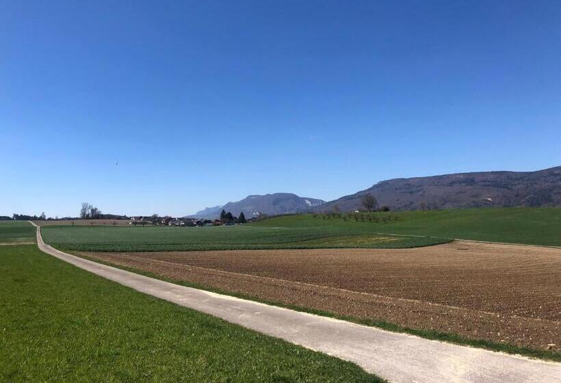فندق صغير Villa Kunterbunt