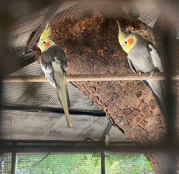 צימר Kawale S Palms & Retreat