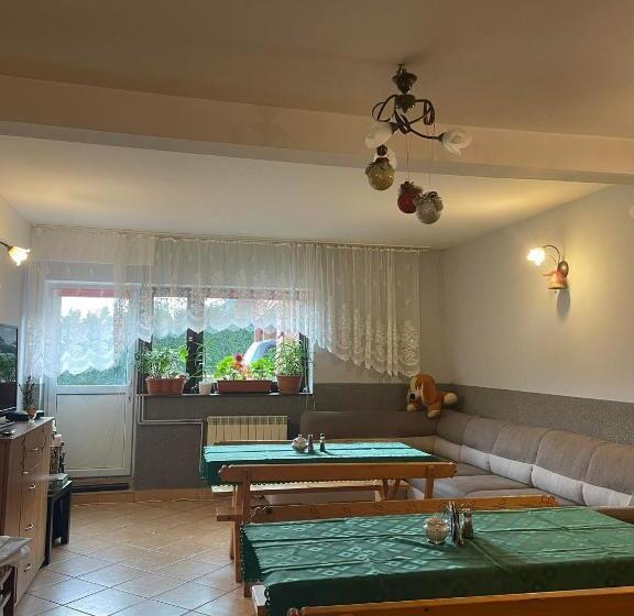 酒店 Agroturystyka Pensjonat Paula