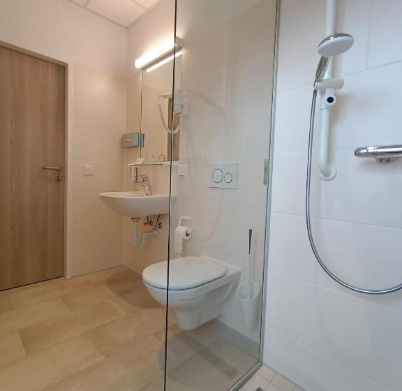 호텔 Gesundheits  & Wellnessresort Salzerbad