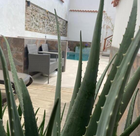 پانسیون La Villa Del Sastre