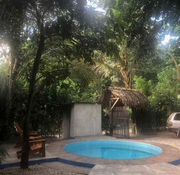 پانسیون Los Almendros Palomino Hostel