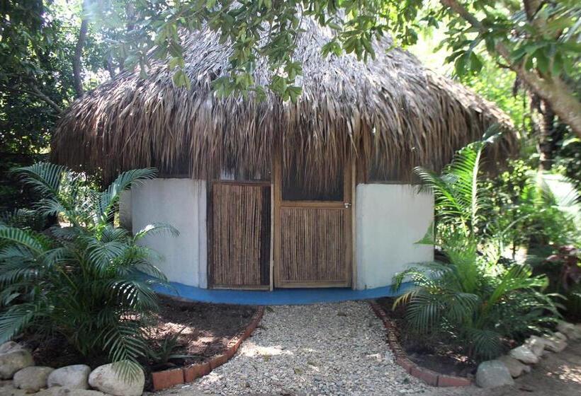 پانسیون Los Almendros Palomino Hostel