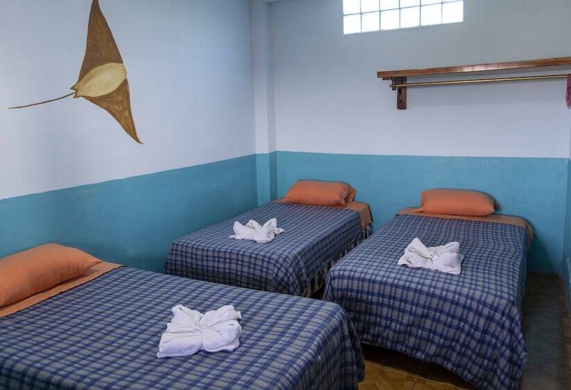 پانسیون Mango Tree