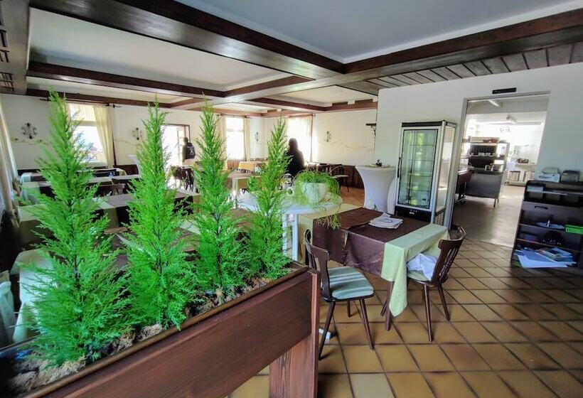 Room In Guest Room  Pension Forelle  Double Room No01