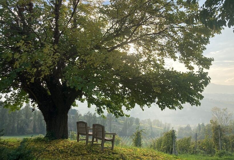 Villa Verdicchio   B&b With Wellness For Winelovers