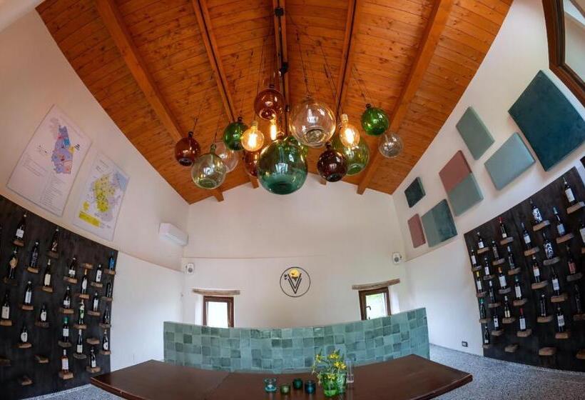 Villa Verdicchio   B&b With Wellness For Winelovers