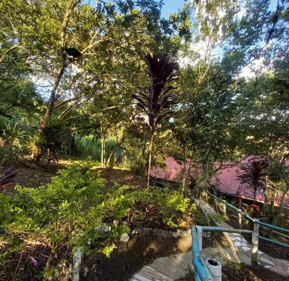 Eco Hotel Manu Viajeros