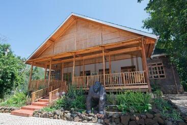 هتل Gorilla Leisure Lodge