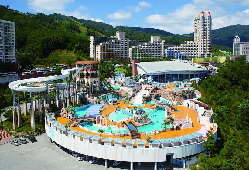 בית מלון כפרי Phoenix Resort Pyeongchang