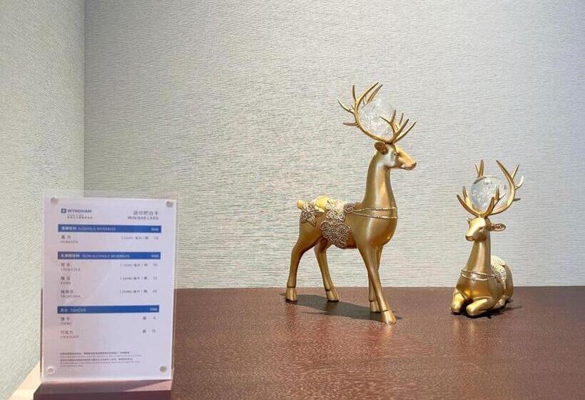 هتل Wyndham Handan Congtai
