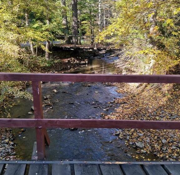 بنسيون Fontana Erdélyi Vendégház 2