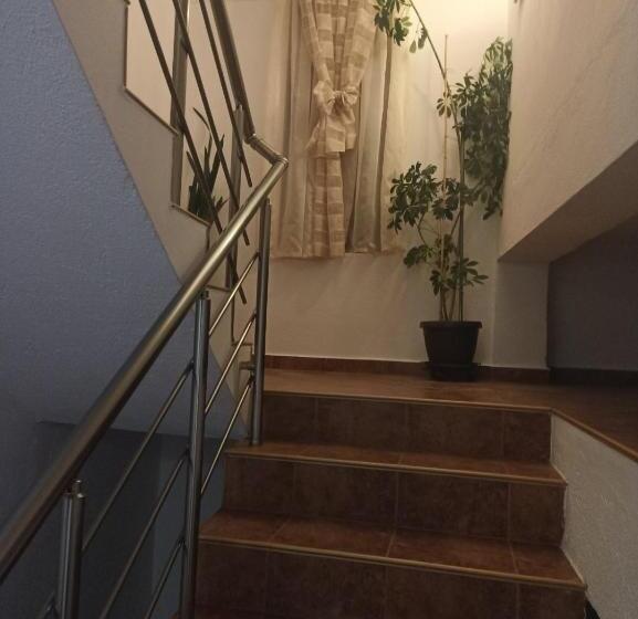 پانسیون Petar Guest House