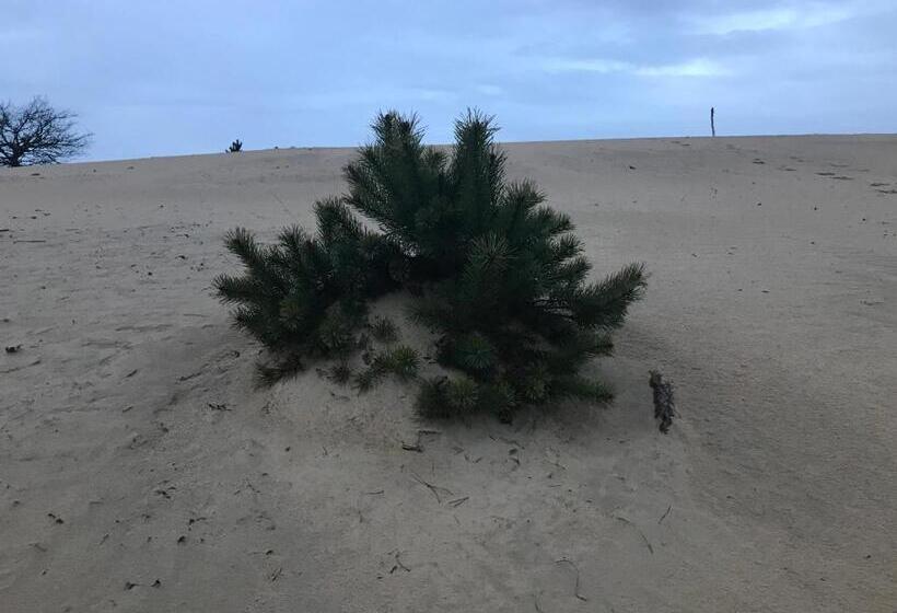 צימר Appelscha Aan De Diek