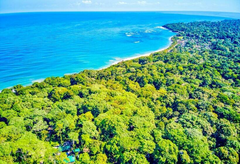 هتل Exôtico Beach & Rooms