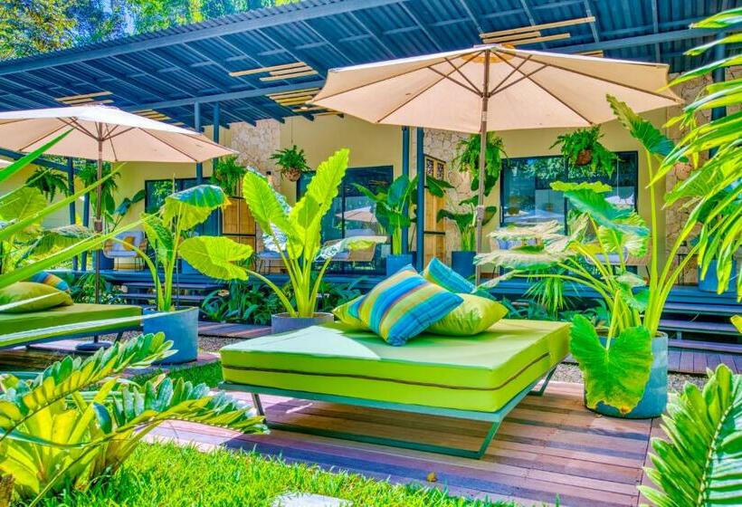 هتل Exôtico Beach & Rooms