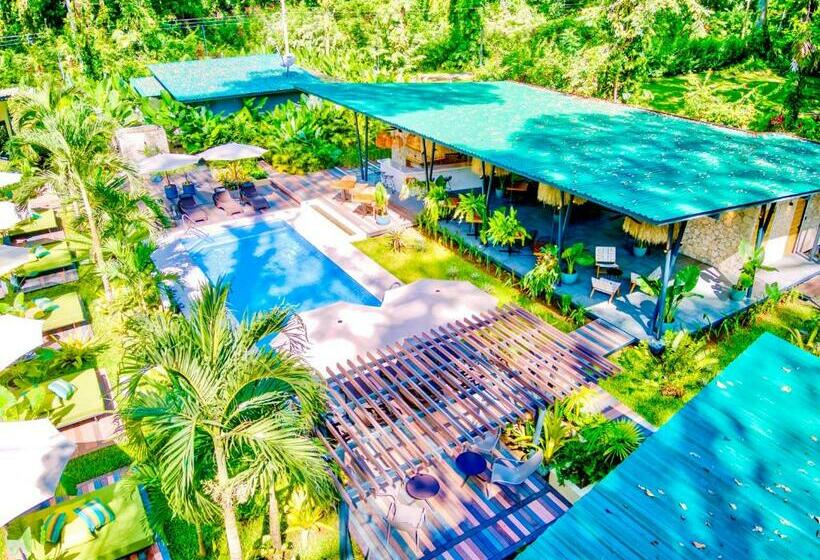 هتل Exôtico Beach & Rooms