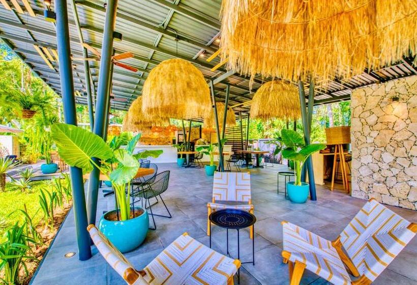 هتل Exôtico Beach & Rooms