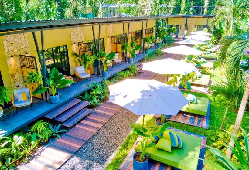 هتل Exôtico Beach & Rooms