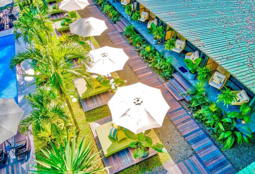 هتل Exôtico Beach & Rooms