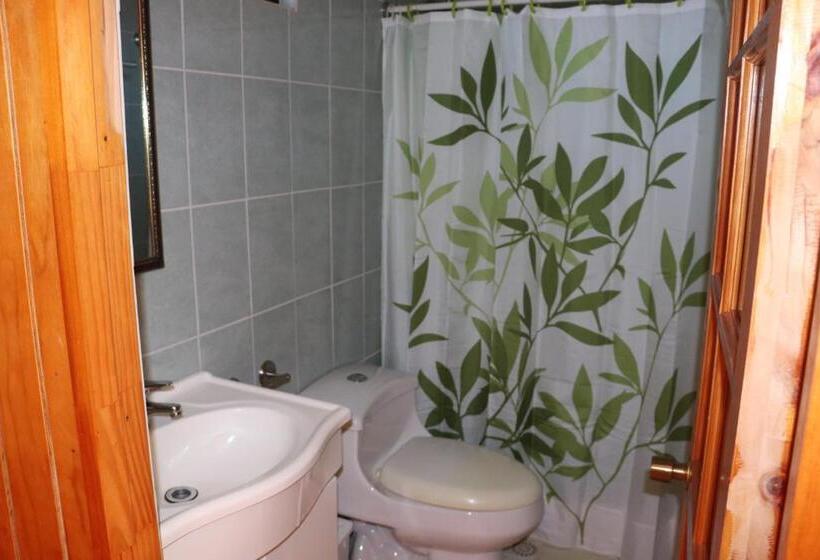 פנסיון Hostal Avareipua