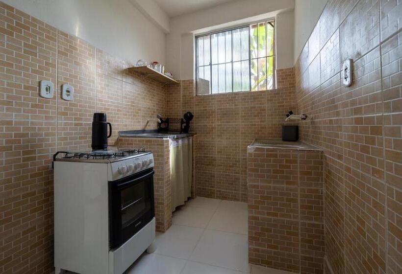 هاستل Pousada Recanto Da Mata