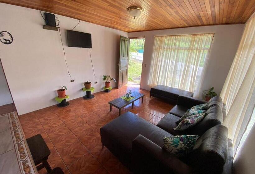 تختخواب و صبحانه Twin Palms Lodge